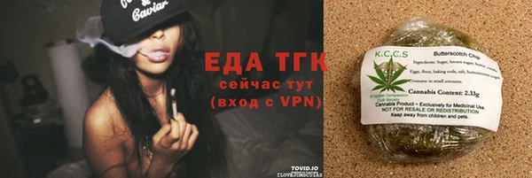 крисы Каменка