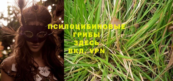 прущая мука Каменногорск