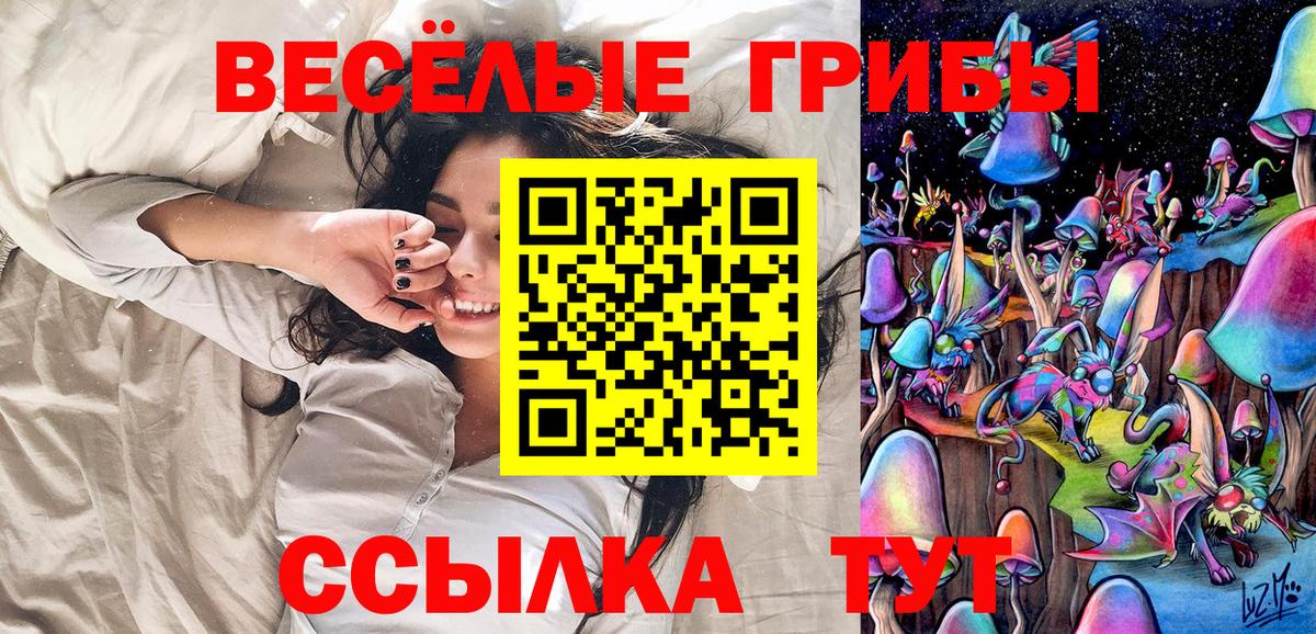 Галлюциногенные грибы ЛСД  Вход с VPN  Пермь  Галлюциногенные грибы Psilocybe 